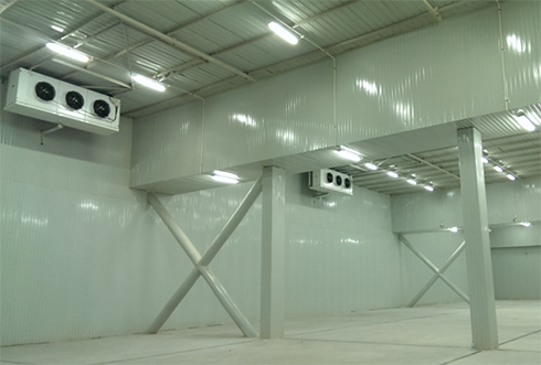 速凍冷庫設計注意事項及其具備功能有哪些？