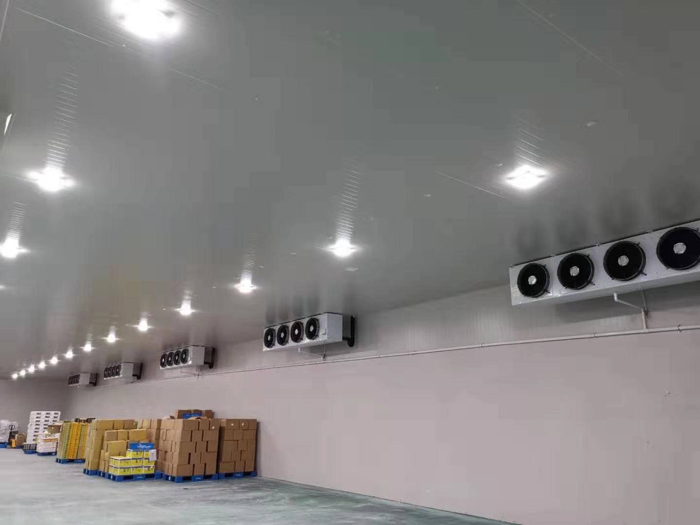 城市周邊建造一個(gè)8800平生鮮電商冷庫(kù)設(shè)計(jì)安裝費(fèi)用? 城市周邊建造一個(gè)8800平生鮮電商冷庫(kù)設(shè)計(jì)安裝費(fèi)用?