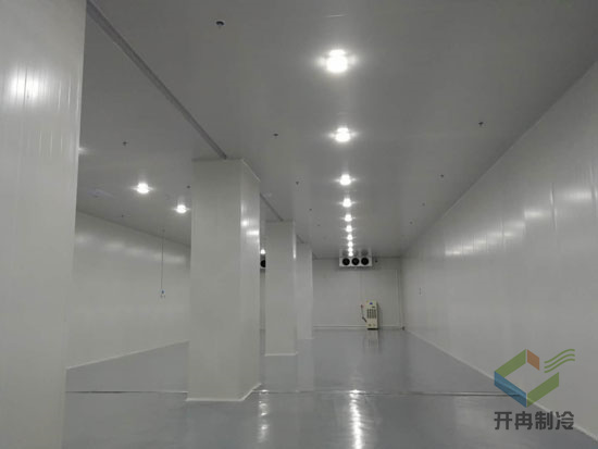 建設醫藥包裝自動化冷庫安裝,自動化冷藏庫有哪些優點? 建設醫藥包裝自動化冷庫安裝,自動化冷藏庫有哪些優點?