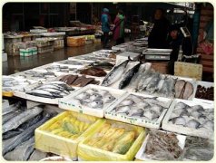 上海海鮮低溫冷庫建造，水產品低溫冷庫造價