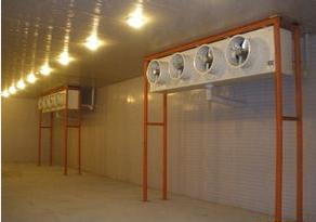 防爆生物制劑冷庫(kù)安裝設(shè)計(jì)冷庫(kù)建造要點(diǎn)