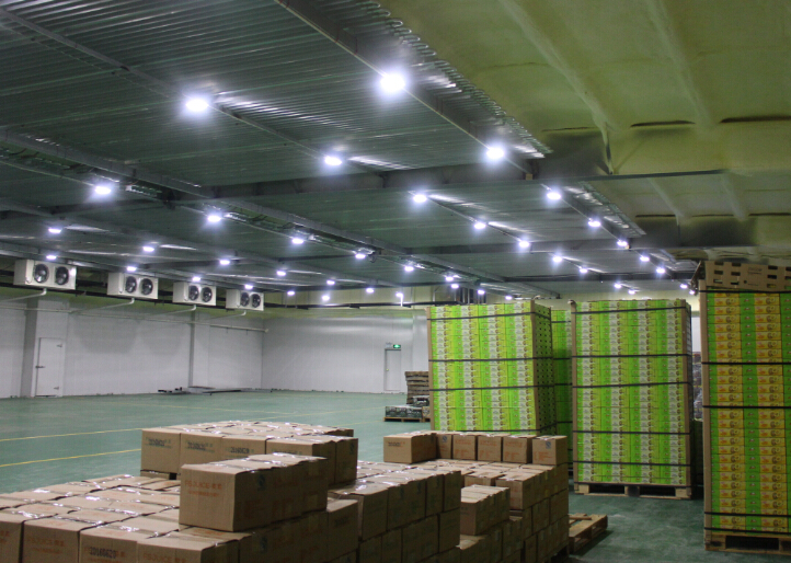 上海松江區(qū)8500平蘋果冷庫完工庫內圖片