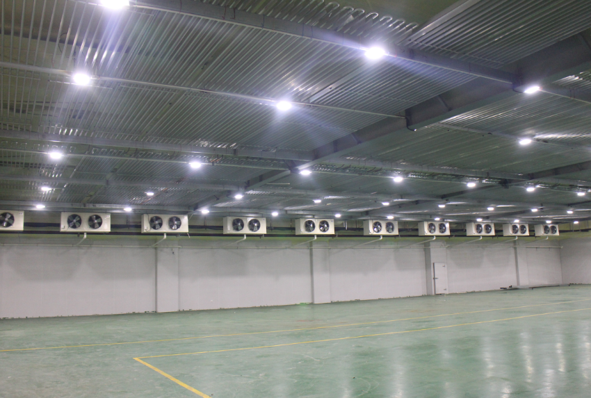 500噸冷凍肉冷庫建造，-18℃低溫肉類冷凍庫安裝造價