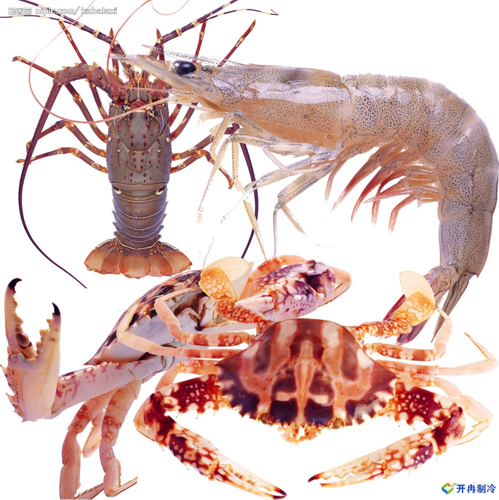 500平米海鮮冷庫建造，-25℃冷凍庫造價多少錢