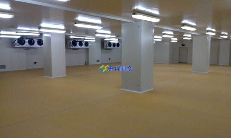 安裝10000m3生鮮物流冷藏庫（低溫倉(cāng)庫）建設(shè)廠家收費(fèi)標(biāo)準(zhǔn)