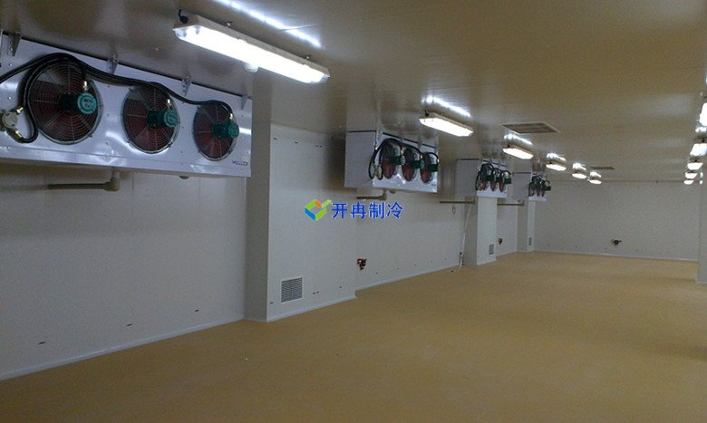 安裝10000m3生鮮物流冷藏庫（低溫倉(cāng)庫）建設(shè)廠家收費(fèi)標(biāo)準(zhǔn)